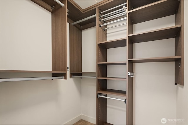 583 Battery St Unit 212N, Seattle, WA 98121 - view of spacious closet