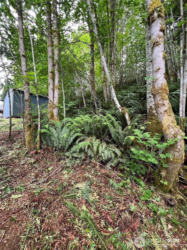 0LOT87 W Star Lake Dr, Elma, WA 98541 - photo 6