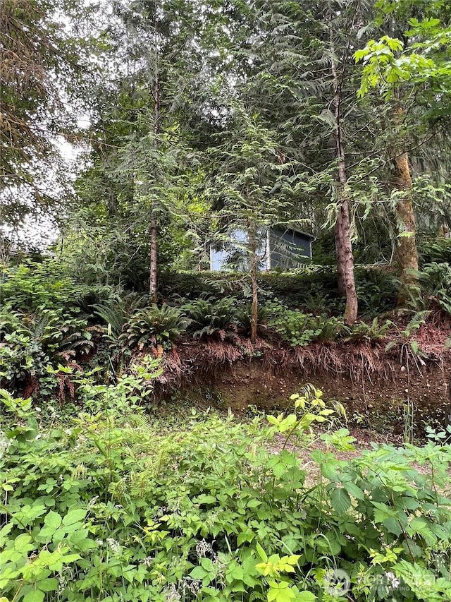 0LOT87 W Star Lake Dr, Elma, WA 98541 - photo 8
