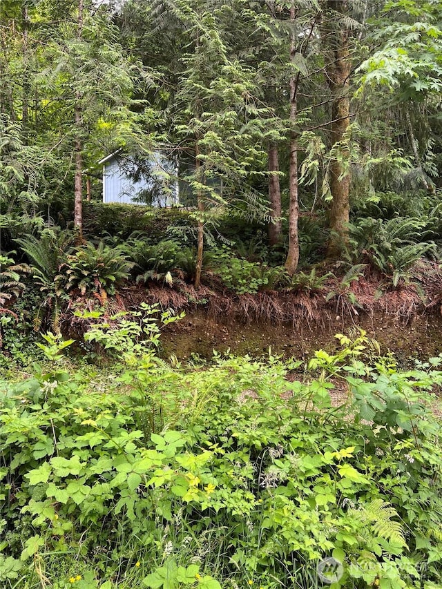 0LOT87 W Star Lake Dr, Elma, WA 98541 - photo 11