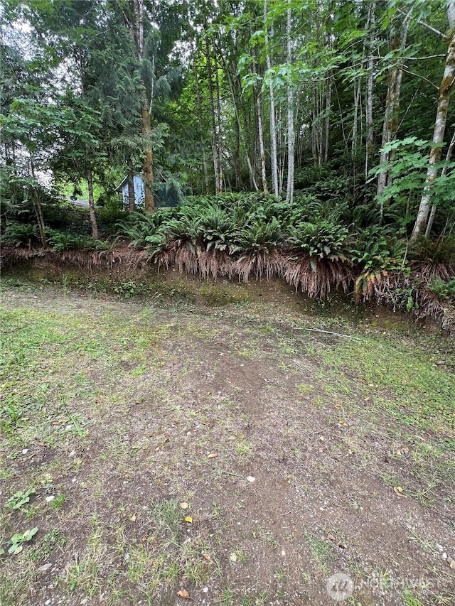 0LOT87 W Star Lake Dr, Elma, WA 98541 - photo 12