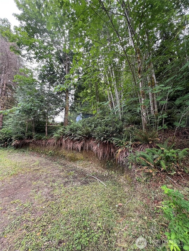 0LOT87 W Star Lake Dr, Elma, WA 98541 - photo 14