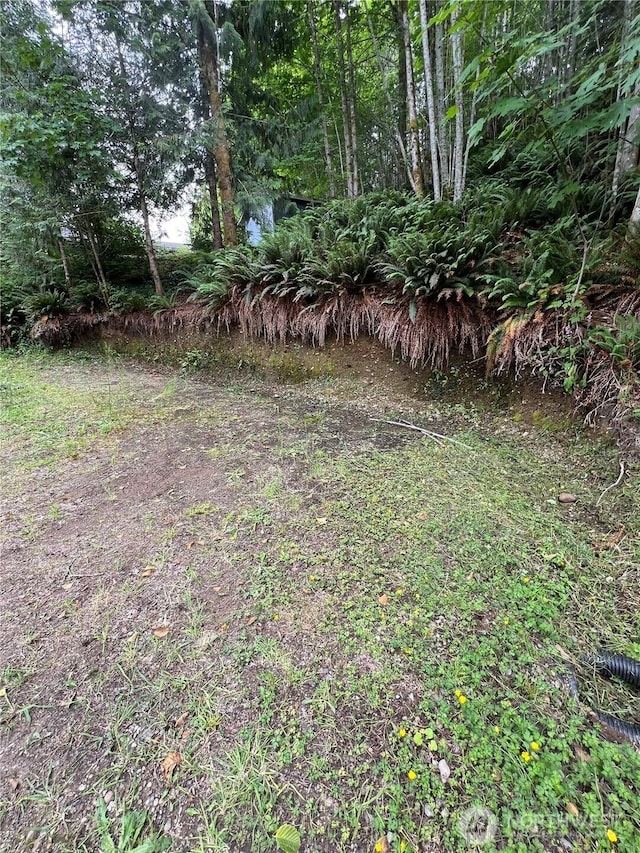 0LOT87 W Star Lake Dr, Elma, WA 98541 - photo 15