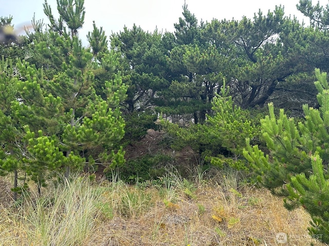 1002 311th St, Ocean Park, WA 98640 - photo 1