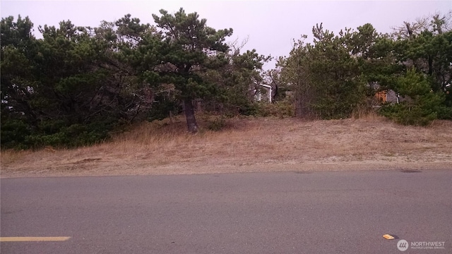 1002 311th St, Ocean Park, WA 98640 - photo 12