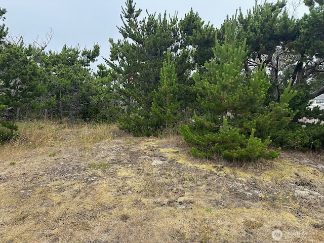 1002 311th St, Ocean Park, WA 98640 - photo 2