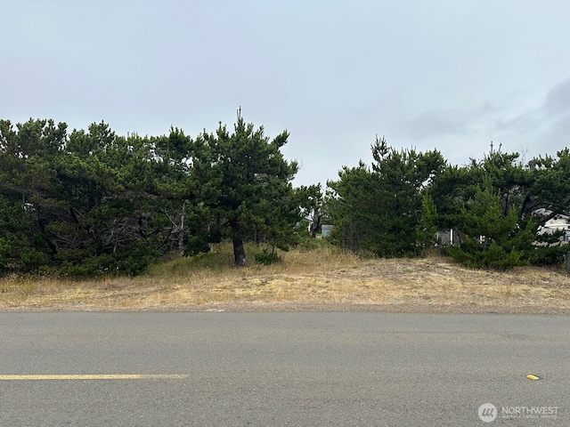1002 311th St, Ocean Park, WA 98640 - photo 4