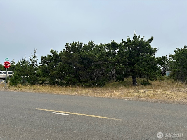 1002 311th St, Ocean Park, WA 98640 - photo 5
