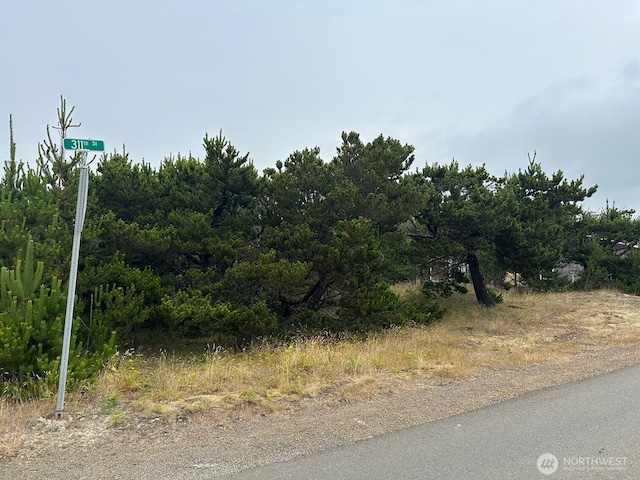 1002 311th St, Ocean Park, WA 98640 - photo 6