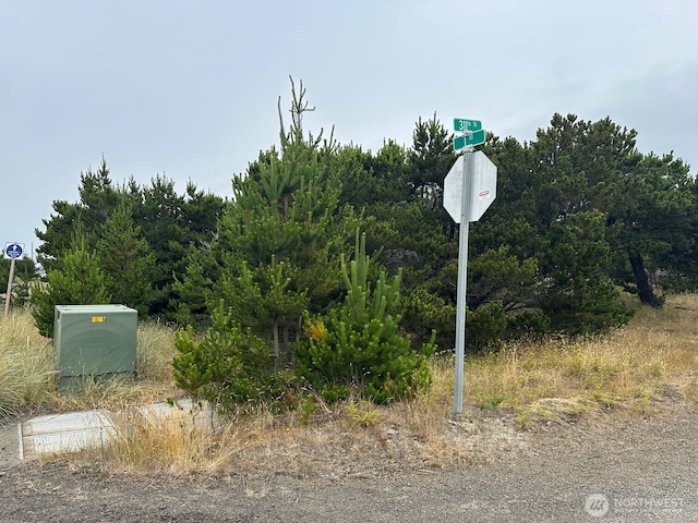 1002 311th St, Ocean Park, WA 98640 - photo 8