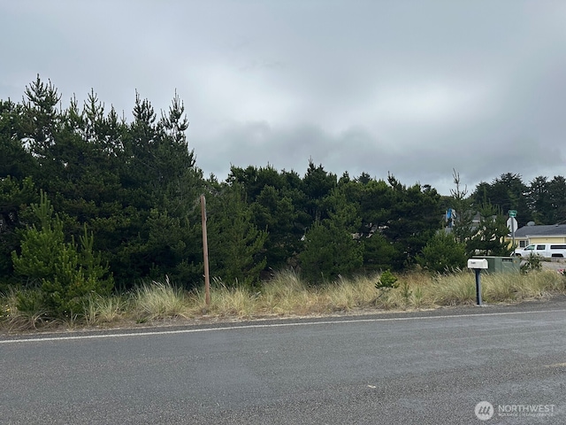 1002 311th St, Ocean Park, WA 98640 - photo 9