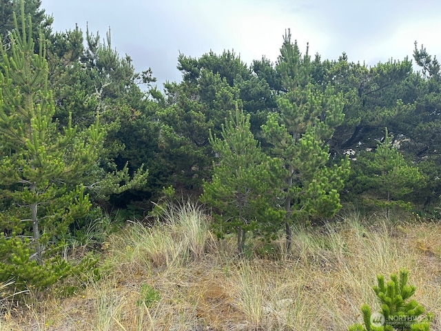 1002 311th St, Ocean Park, WA 98640 - photo 3