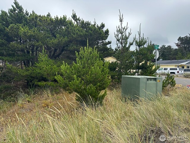 1002 311th St, Ocean Park, WA 98640 - photo 10