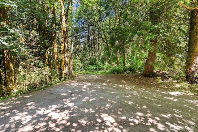250 E Hemingway Ln, Belfair, WA 98528 - photo 30
