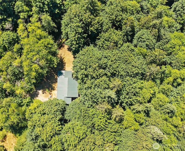 250 E Hemingway Ln, Belfair, WA 98528 - photo 38