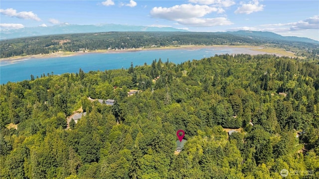 250 E Hemingway Ln, Belfair, WA 98528 - photo 40
