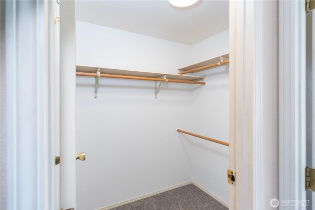 2289 Towne Point Ave, Port Townsend, WA 98368 - walk in closet with carpet