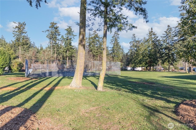 2289 Towne Point Ave, Port Townsend, WA 98368 - view of yard