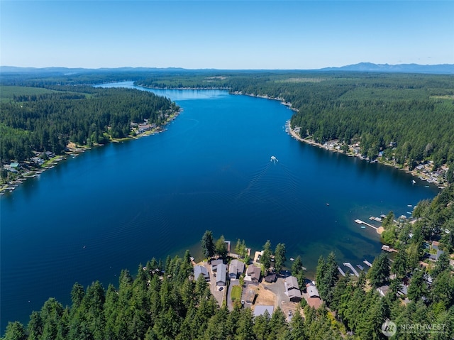 2521 E Mason Lake Dr E, Grapeview, WA 98546 - photo 5