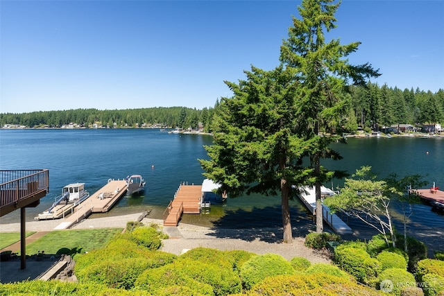 2521 E Mason Lake Dr E, Grapeview, WA 98546 - photo 28