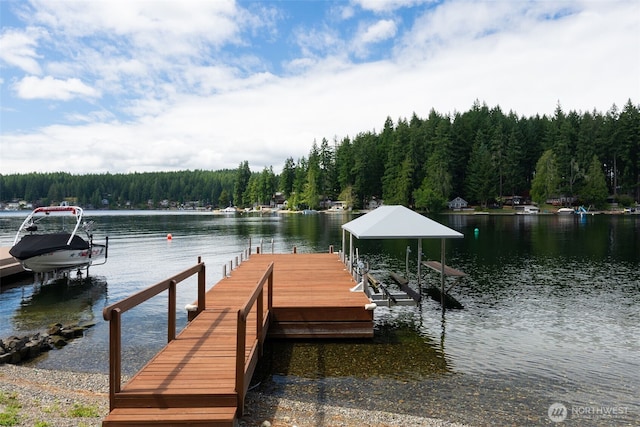 2521 E Mason Lake Dr E, Grapeview, WA 98546 - photo 30