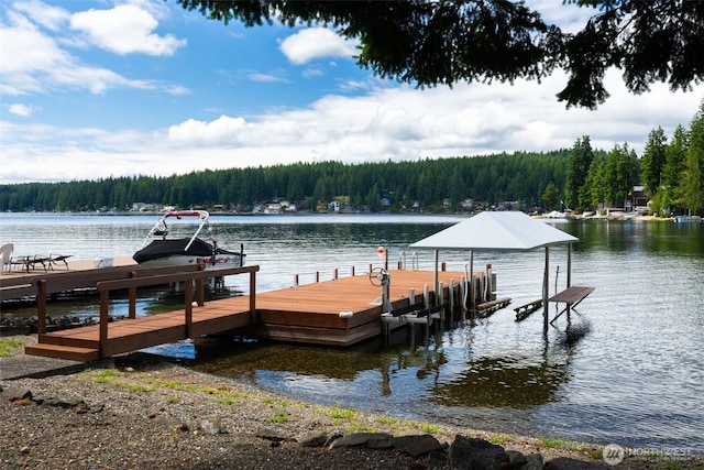2521 E Mason Lake Dr E, Grapeview, WA 98546 - photo 29