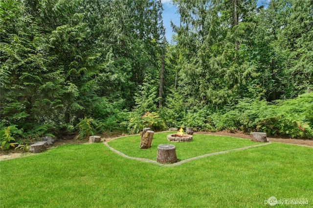 5815 294th Ave NE, Carnation, WA 98014 - photo 37