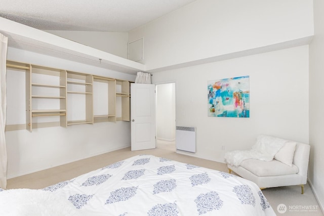 6367 Sand Point Way NE, Seattle, WA 98115 - bedroom featuring radiator heating unit, a closet, light carpet, and high vaulted ceiling