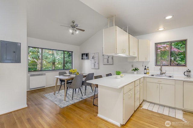 6367 Sand Point Way NE, Seattle, WA 98115 - kitchen featuring electric panel, radiator heating unit, light countertops, light wood-style flooring, and plenty of natural light