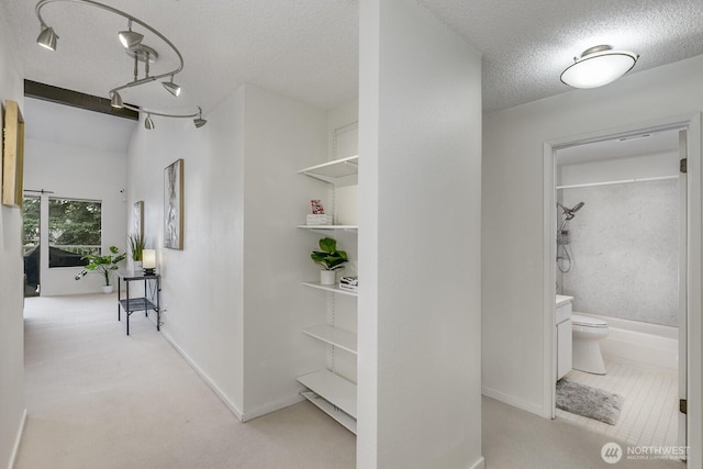 6367 Sand Point Way NE, Seattle, WA 98115 - hall with a textured ceiling and carpet floors