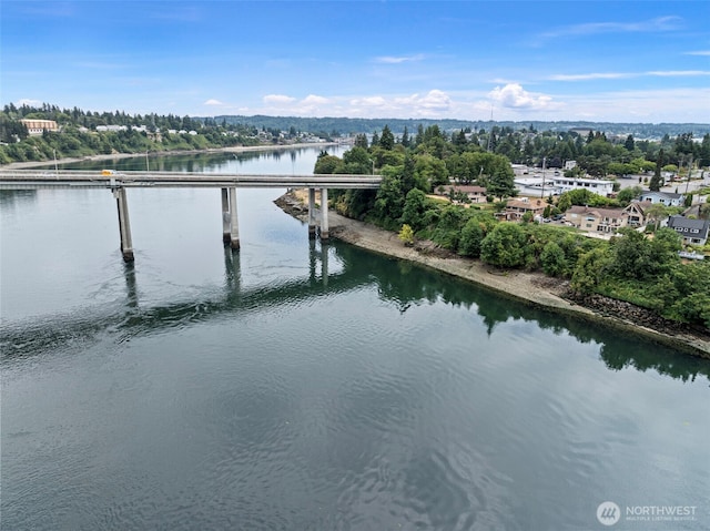 1000 Bridgeview Ln, Bremerton, WA 98337 - photo 36