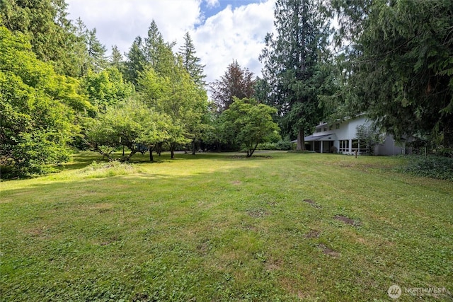 3928 Sorenson Rd, Everson, WA 98247 - view of green lawn