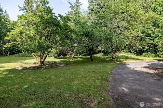 3928 Sorenson Rd, Everson, WA 98247 - view of green lawn