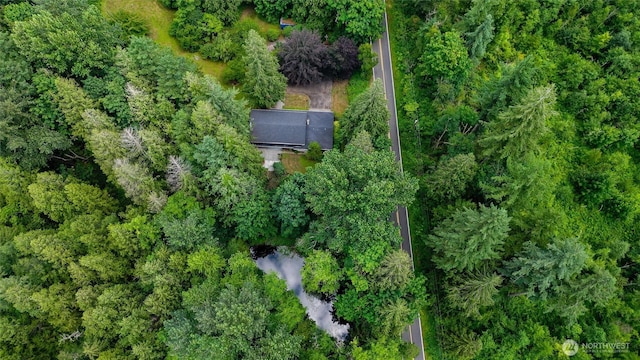 3928 Sorenson Rd, Everson, WA 98247 - aerial overview of property's location