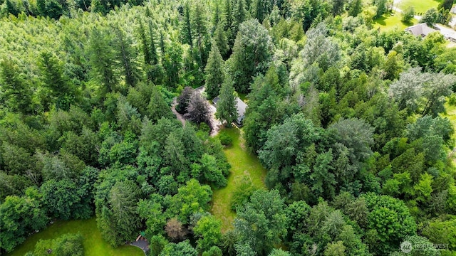 3928 Sorenson Rd, Everson, WA 98247 - drone / aerial view of a forest