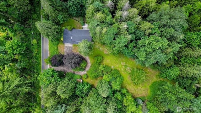 3928 Sorenson Rd, Everson, WA 98247 - aerial view of property and surrounding area