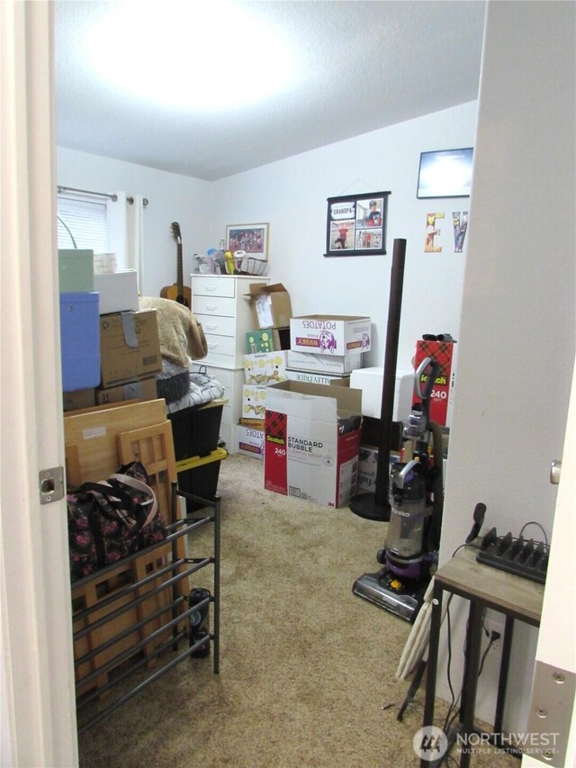 4917 107th Ave SE, Snohomish, WA 98290 - view of storage