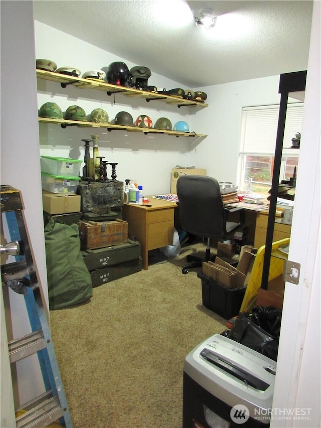 4917 107th Ave SE, Snohomish, WA 98290 - view of carpeted office space