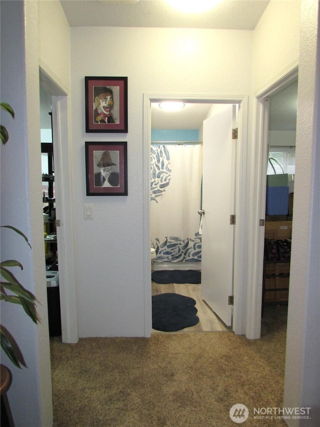 4917 107th Ave SE, Snohomish, WA 98290 - hall with carpet flooring