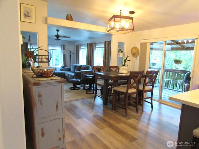 4917 107th Ave SE, Snohomish, WA 98290 - dining room with wood finished floors, a chandelier, and a ceiling fan