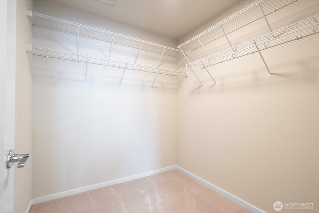 6855 NE 170th St Unit 102, Kenmore, WA 98028 - walk in closet featuring carpet flooring