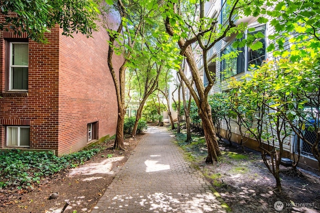 211 E Summit Ave Unit S117, Seattle, WA 98102 - view of yard