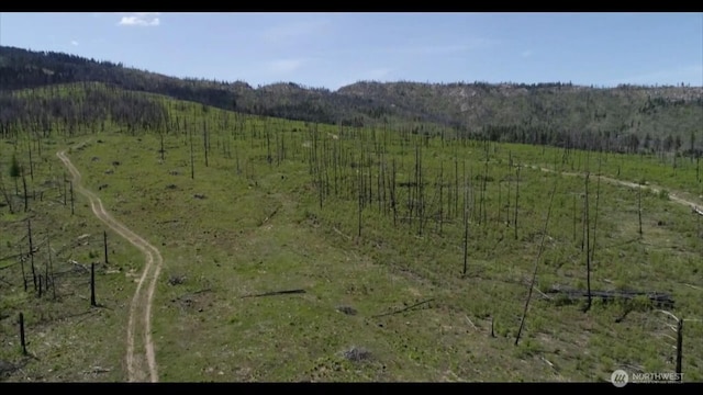 18 Blue Moon Rd, Riverside, WA 99849