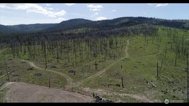 18 Blue Moon Rd, Riverside, WA 99849