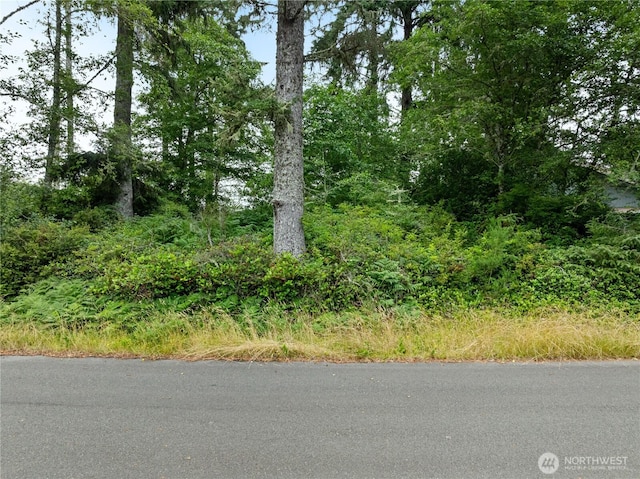 784 Evergreen Ave SE, Ocean Shores, WA 98569 - photo 2