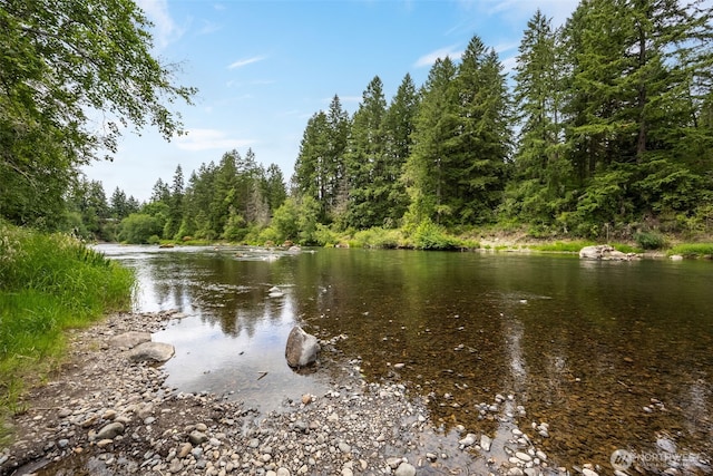 17112 Kinnikinnick Ct SE, Yelm, WA 98597 - water view with a heavily wooded area