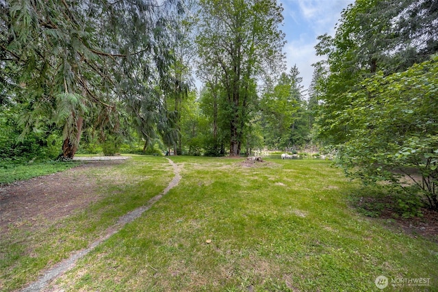 17112 Kinnikinnick Ct SE, Yelm, WA 98597 - view of green lawn