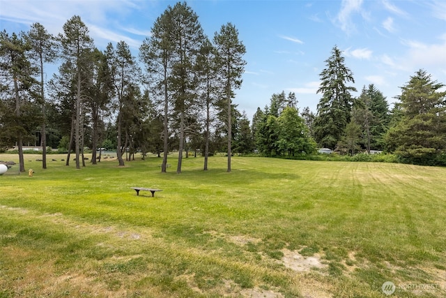 17112 Kinnikinnick Ct SE, Yelm, WA 98597 - view of home's community with a lawn and view of scattered trees