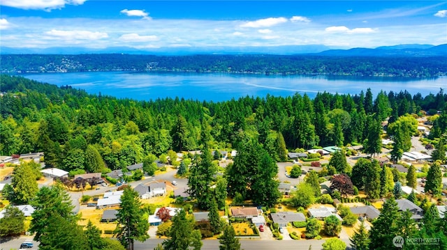 21 165th Ave SE, Bellevue, WA 98008 - aerial perspective of suburban area featuring a water and mountain view and a forest