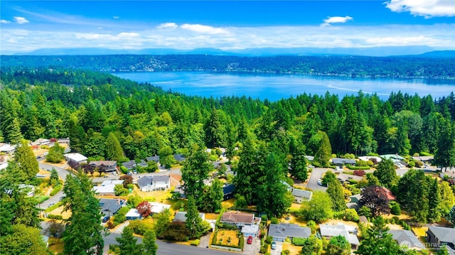 21 165th Ave SE, Bellevue, WA 98008 - aerial overview of property's location with a water and mountain view and nearby suburban area